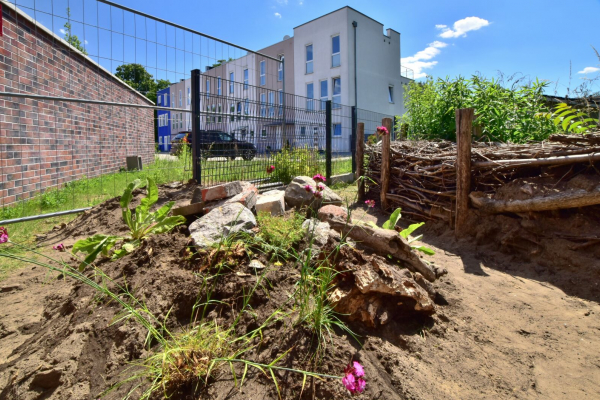 Wildbienenschaugarten Schöneweide in Berlin-Treptow