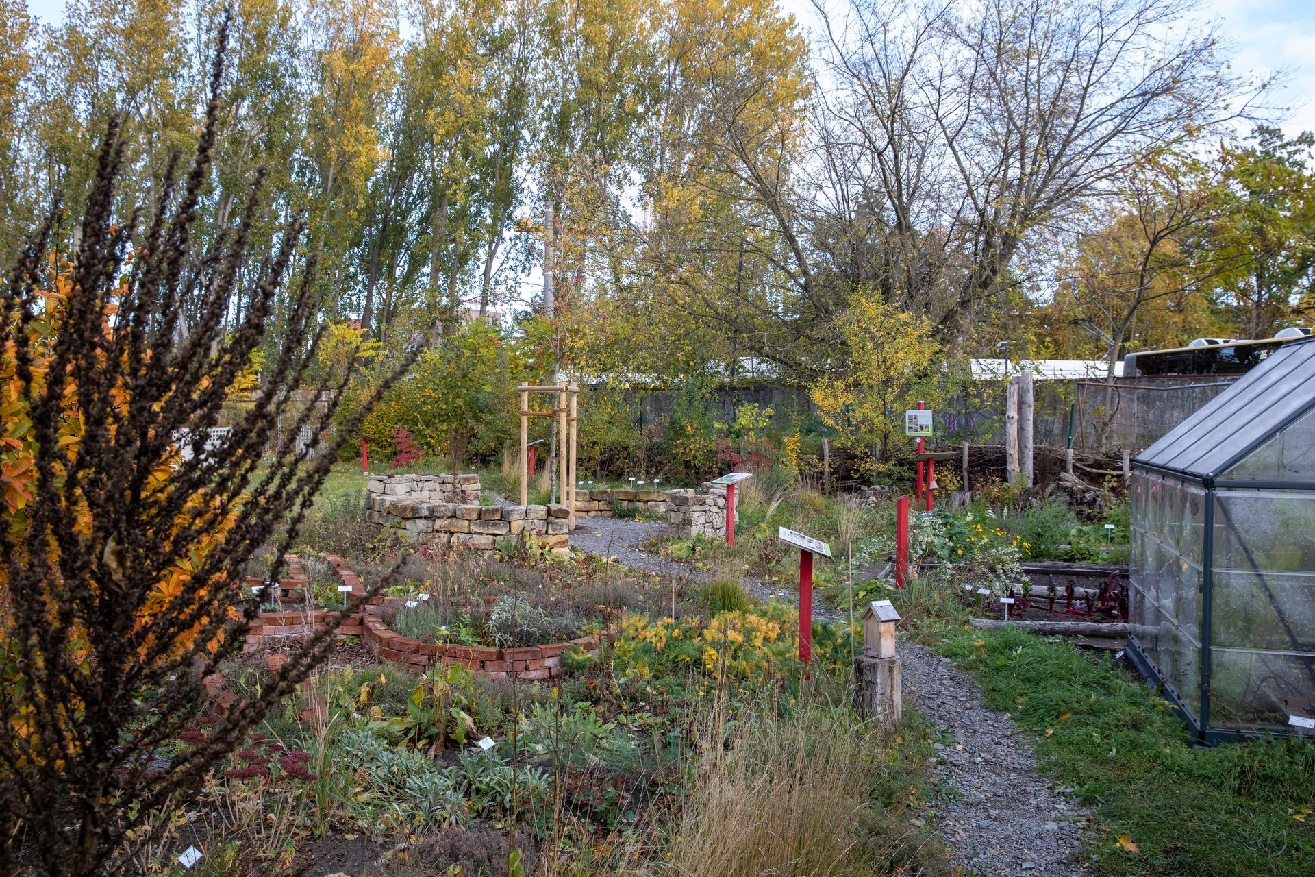 Wildbienenschaugarten Schöneweide in Berlin-Treptow