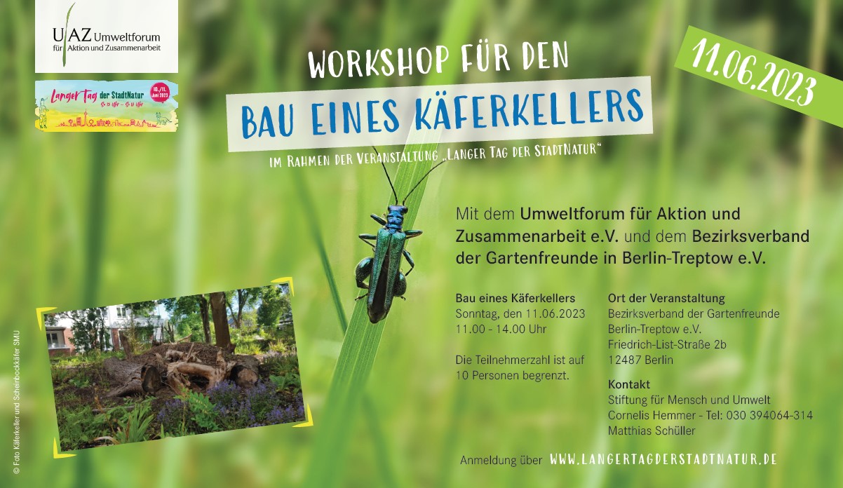 Workshop für den Bau eines Käferkellers